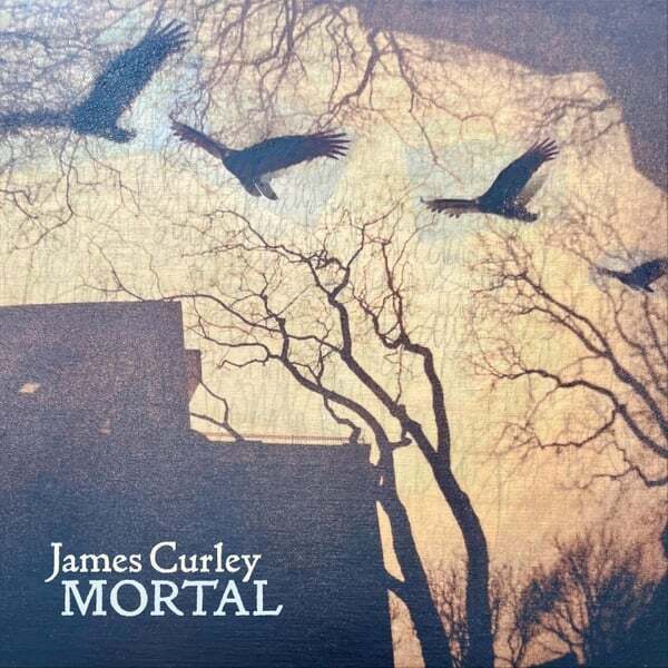 Cover art for Mortal